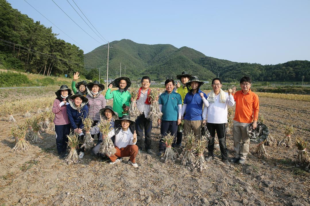 '의성군의회, 농촌일손돕기 지원' 게시글의 사진(1) 'A41U8428.JPG'