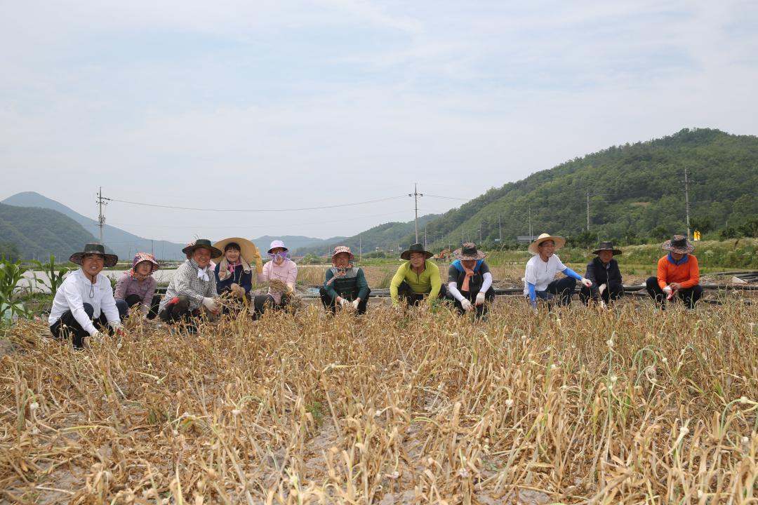 '의성군의회농촌일손돕기' 게시글의 사진(2) 'A41U9288.JPG'