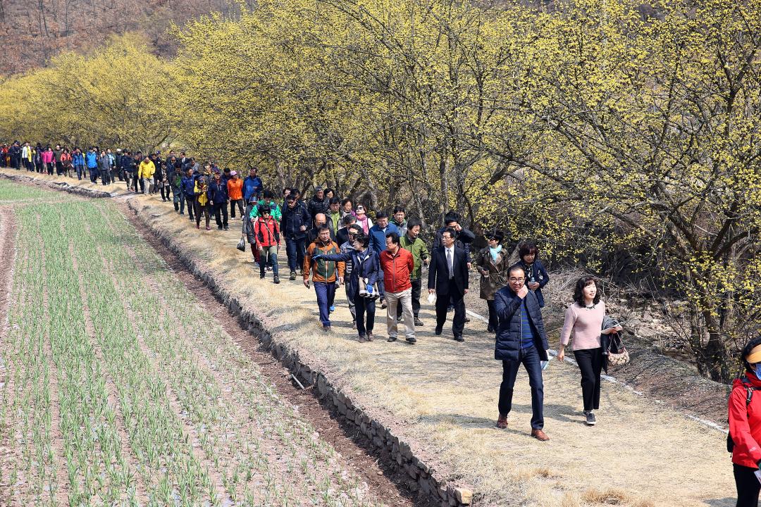 '제9회의성산수유꽃축제' 게시글의 사진(10) 'A41U0617.JPG'