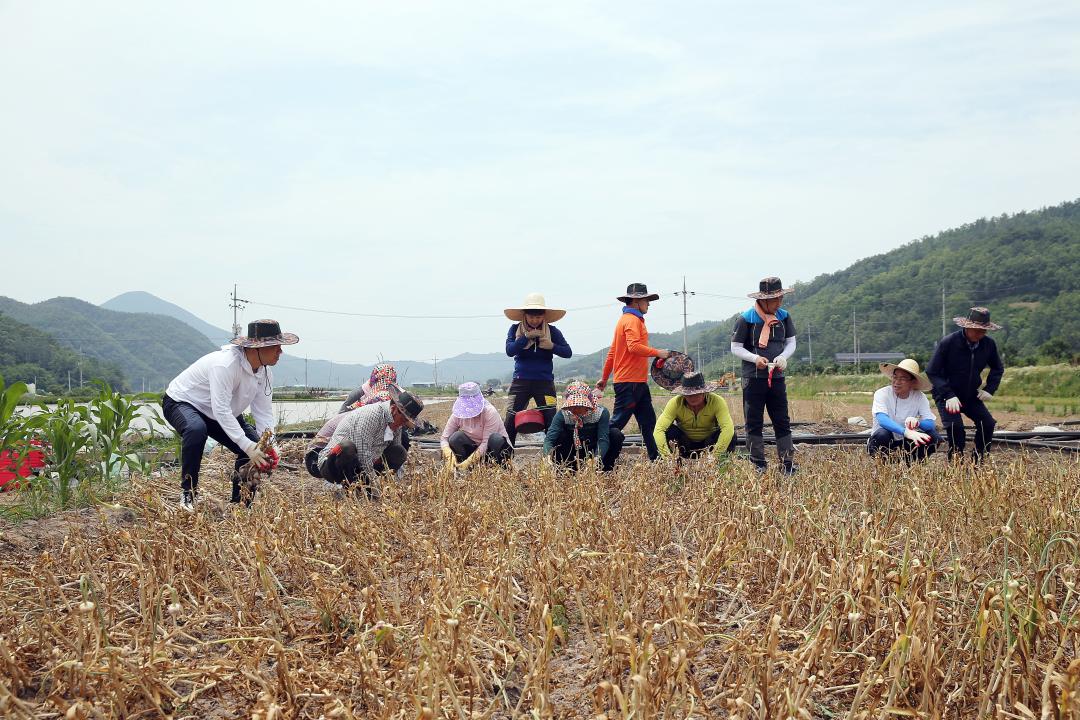 '의성군의회농촌일손돕기' 게시글의 사진(1) 'A41U9277.JPG'