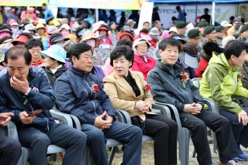 제25회의성군민걷기대회