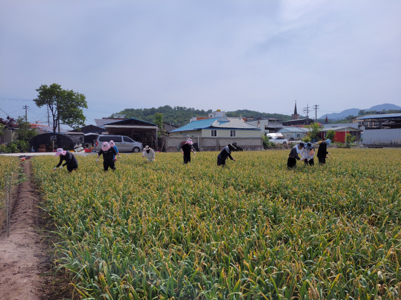 '의성군의회, 농촌일손돕기 지원' 게시글의 사진(1) '관련 사진.jpg'